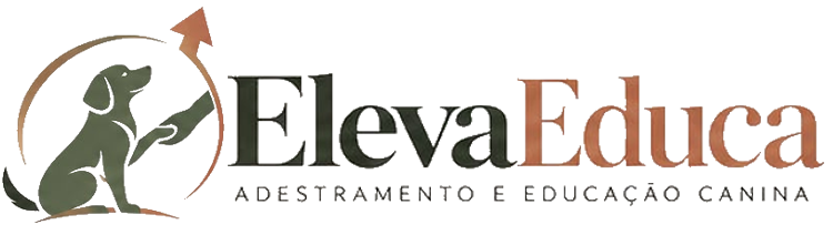 Eleva Educa